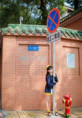 玫瑰的故事电视剧免费看_蓝光高清全集免费观看