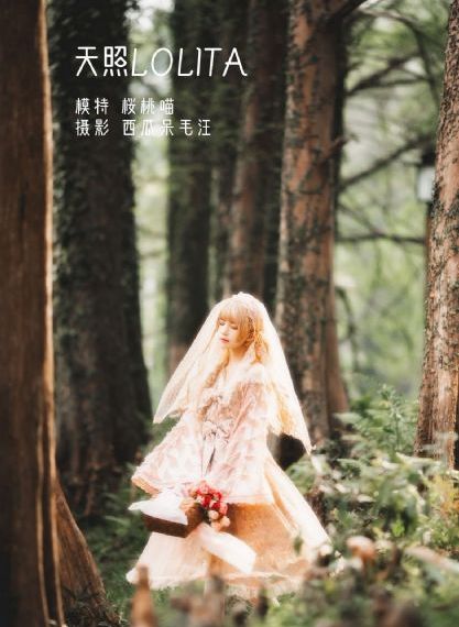 综艺节目大全免费_视频大全成人直接看