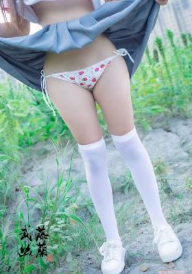 血战丛林在线看免费观看高清版_剧情片免费观看超清