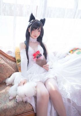 布拉芙夫人电影在线观看_在线观看